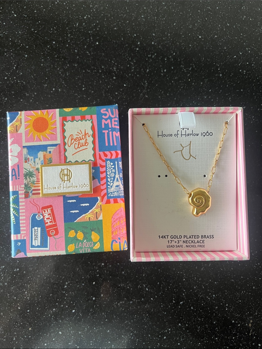House of Harlow Necklace